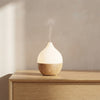 SALKING Essential Oil Diffuser